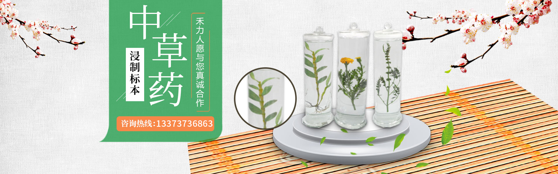 新鄉市禾力教學設備有限公司